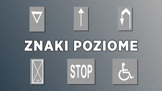 #7 - Znaki drogowe - poziome (pasy na jezdni)