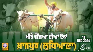 [Live] Khanpur | Ludhiana | ਖੀਰੇ ਵੱਛਿਆਂ ਦੀਆਂ ਦੌੜਾਂ | Ox Races | 19 Dec 2024