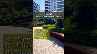  Эрудиция на максимум  Ответишь ли на все вопросы? #викторина #вопросы