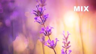 10 Relaxing Piano Pieces by Ocb Relax Music (4K)