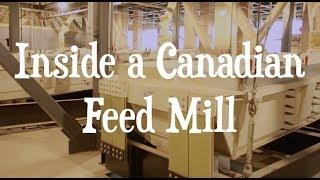 Inside a Canadian Feed Mill