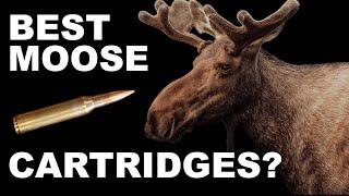 Best Moose Hunting Cartridges!