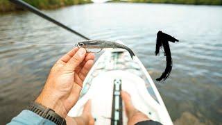 MONSTER SNOOK Fishing from my Paddleboard! (Biggest Snook of My Life)