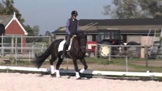 (Andries x Pike) in training bij Saskia Meinema 30 september 2013