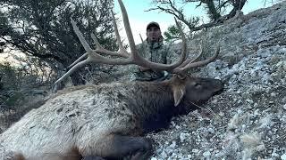 Nevada late season bull elk hunt