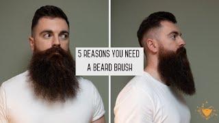 5 Reasons You NEED a Beard Brush (+ Key Questions Answered)