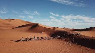 Camel Ride into the Sahara Desert