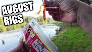 Bank Bass Fishing Lures for August! Realistic Fishing Lures and Rigs