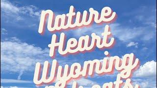 Nature Heart Wyoming Retreat