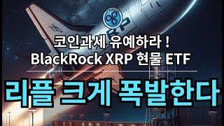 구독자 4만명 달성 진심으로 감사드립니다. 리플(XRP)은 반드시 비상합니다.