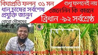 বোরো ধানের সর্বোচ্চ ফলনশীল ব্রিধান ৯২ এর সর্বাধুনিক চাষ কৌশল|| High Yielding Boro Rice BRRi dhan 92