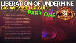 Bigwigs Setup Guide: Liberation of Undermine [Part 1]