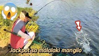 Jackpot sa malalaki mga mangilo w/ batang anglers ( jhake )