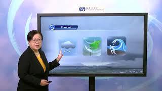 Central Briefing (12:00 noon 13 Nov) - Lee Shuk Ming, Senior Scientific Officer