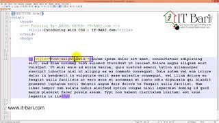 18  My First CSS  IT Bari com   Web Design Bangla Video Tutorial