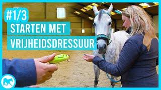 VOOR HET EERST VRIJHEIDSDRESSUUR! | Wachten op voer