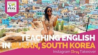 Day in the Life Teaching English in Busan, South Korea with Kendra Isaacs