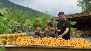 HARVESTING APRICOTS AND MAKING JAM | APRICOT COMPOTE AND CAKE | RURAL OUTDOOR COOKING