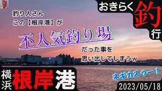 【#横浜・#根岸港】#おきらく釣行【2023/05/18】