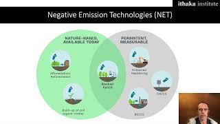 The Carbon Sink Solution(s)