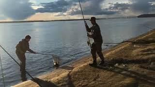 Рыбалка на Амуре 7.05.2019. Хабаровск, пляж Дальдизель. Сазан на самодельные бойлы
