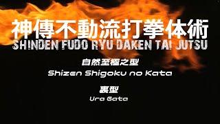 SHINDEN FUDO RYU - SHIZEN SHIGOKU URA GATA「神伝不動流史論 自然至極 裏型」