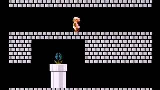 Super Mario Bros. Cool Glitches and Tricks!