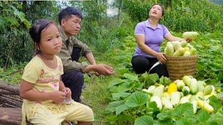 Harvest the vegetable garden to feed the ducks, go to the market to sell agricultural products