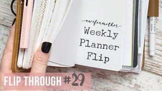 Planner Flip Thru #29  | Planner Perfect TN and Plan Books