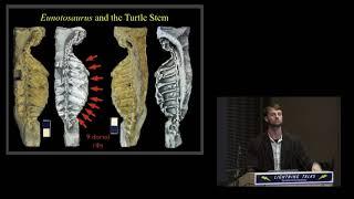 Evolutionary Origin of the Turtle Shell