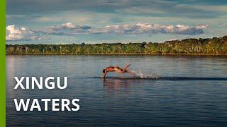 Xingu waters: source of life at risk in the Brazilian Amazon