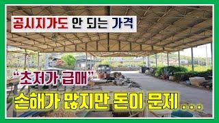 밀양 촌집 매매 - 매물1,118번(초저가 급매.  공시지가도 안 되는 가격.  손해가 많지만 대출금 이자 때문에~)