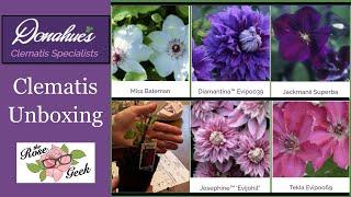  Donahue's Clematis Unboxing / Rose Companion Plants / Flowering Vines