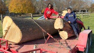 Picking up Logs with my Son