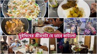 আবার আগের মতো ভিডিও||এই দুইদিন কি করলাম||ভালোলাগা মন্দ লাগা সবকিছু