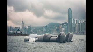 During the day. Hong Kong. День во времена корона вируса. Один прекрасный день из жизни.