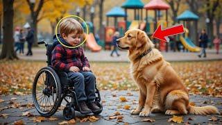 Dog Barks at Boy in Wheelchair, Parents Panic Until Heartbreaking Truth Behind It is Revealed