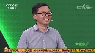 《大地讲堂》 20201018 从农业文化遗产看哈尼族人的智慧生活|CCTV农业