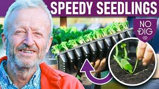 Speedy Seedlings for Small Spaces: Techniques for a Productive Garden