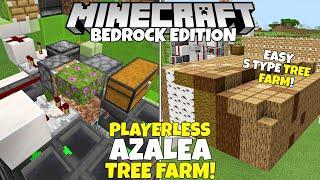 Minecraft Bedrock: Fully AFK TREE FARM Tutorial! 5 Type Azalea Tree Farm. MCPE Xbox PC PS4