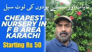 cheapest Nursery in Karachi |Cheapest nursery plants  || Karachi FB Area Block 14 nursery plants