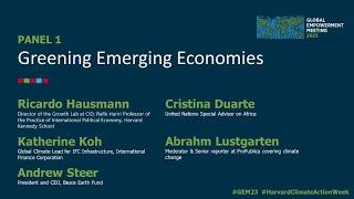GEM23 Panel 1: Greening Emerging Economies