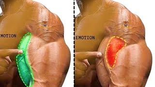 15 best biceps workout that you never did at gym