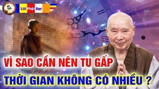 Vì sao cần tu gấp thời gian không có nhiều, mỗi đêm Học Lời Phật Dậy thoát khổ được vui