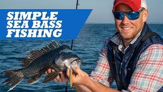 Simple Sea Bass Fishing