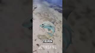 ESTO le pasa a los tiburones en la playa 