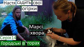 Серія 14 / посадили з Настею кабачок і огірки... Знову) Моя спроба №3 / у кицьки пошкоджене око /