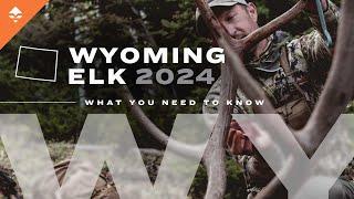 How to Hunt Elk in Wyoming: Changes for 2024 and Everything Else You Need to Know