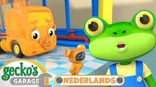 Regenboogverstoppertje | Gecko's Garage Nederlands | Vrachtwagen Cartoons Voor Kinderen