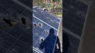 Solar panel demag सोलर पलेटे टूट गई #shorts #solarpanel #solar #tusiyatech